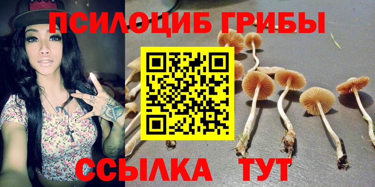 Галлюциногенные грибы MAGIC MUSHROOMS  цена наркотик  Назрань  Вход с VPN 