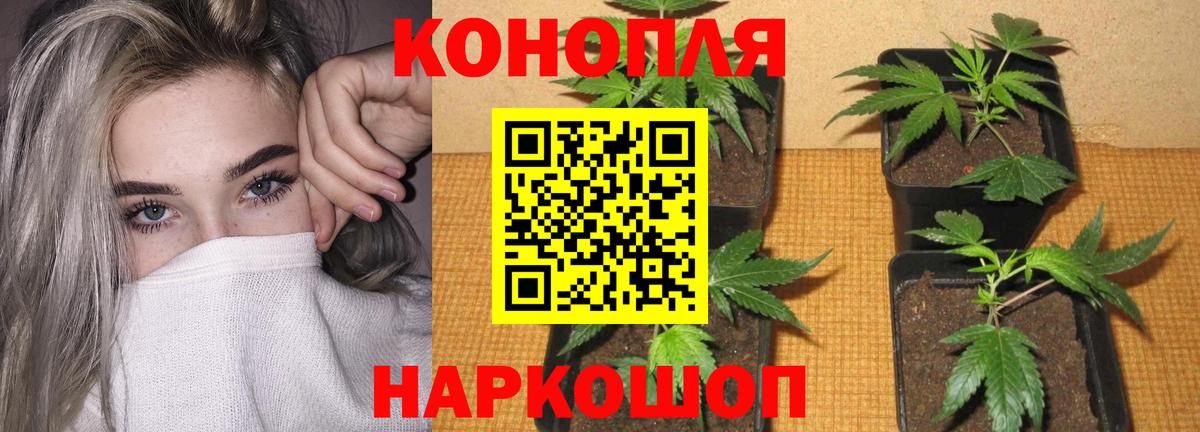 Бошки Шишки индика  Марихуана планчик  Шишки марихуана LSD WEED  Назрань  Вход с VPN 
